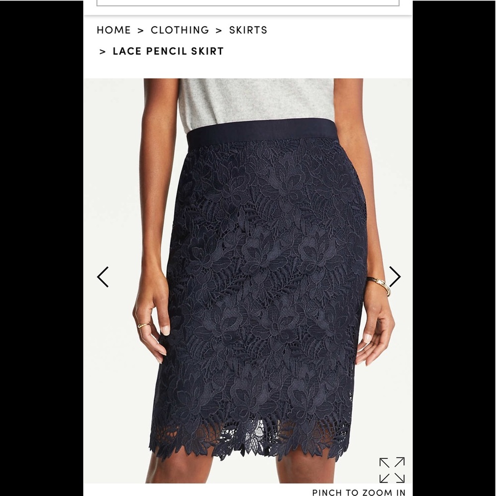 Ann Taylor Lace Pencil Skirt 8P. NWT